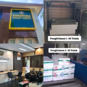 GMBI Sultra Kunjungi Balai Karantina Sultra Dan Beacukai Kendari Tuk Klarifikasi Soal Aturan Ekspor Ikan Fresh